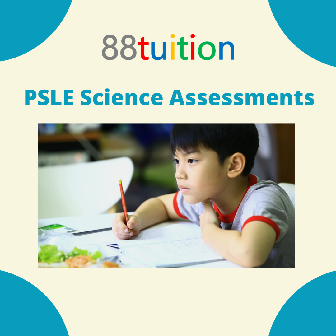 How to prepare for the PSLE science objective based assessments